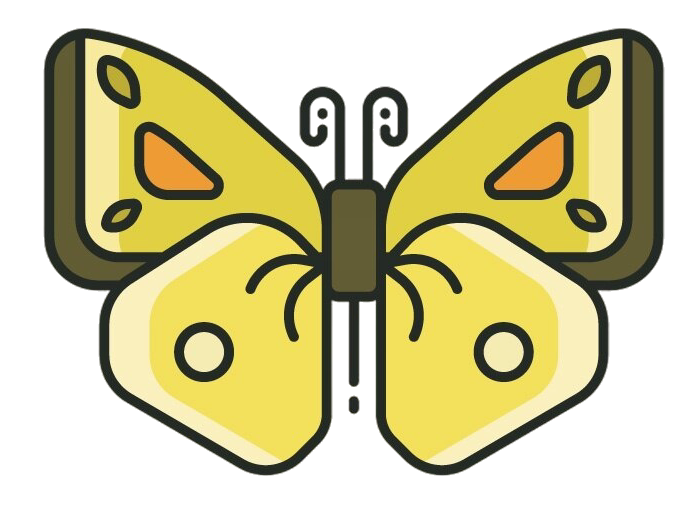 illustration papillon jaune