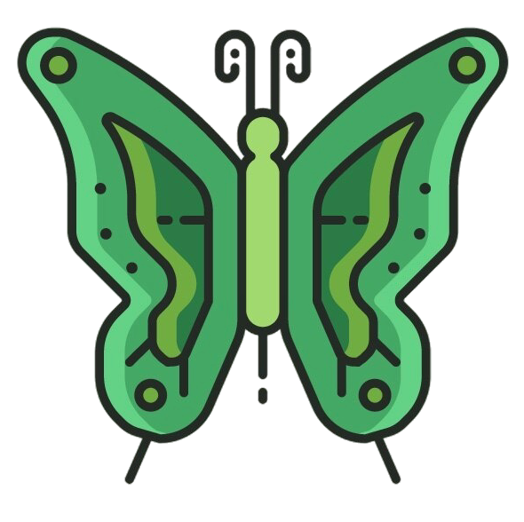 illustration papillon vert